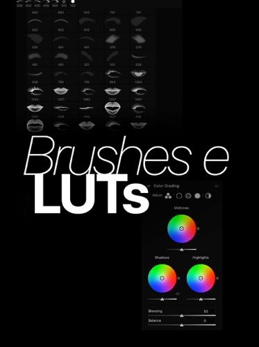 Brushes & LUTs